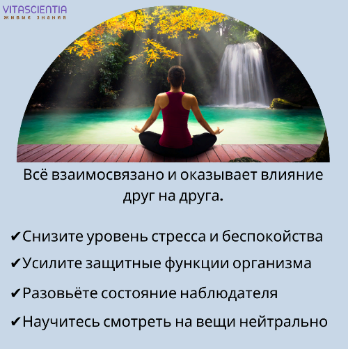 картинка Медитация "Гармонизация центра выживания" от Vitascientia