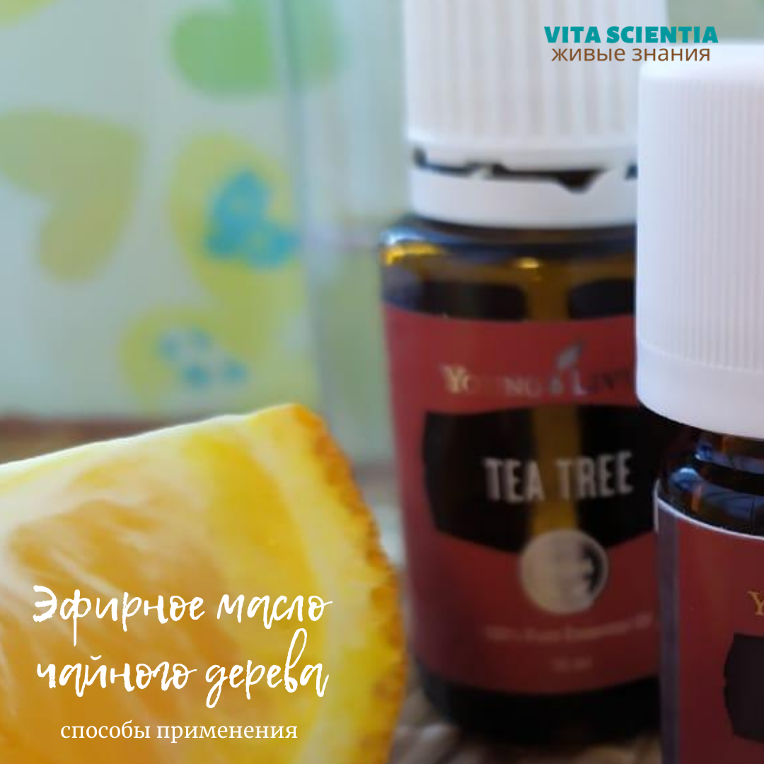 Способы применения эфирного масла чайного дерева