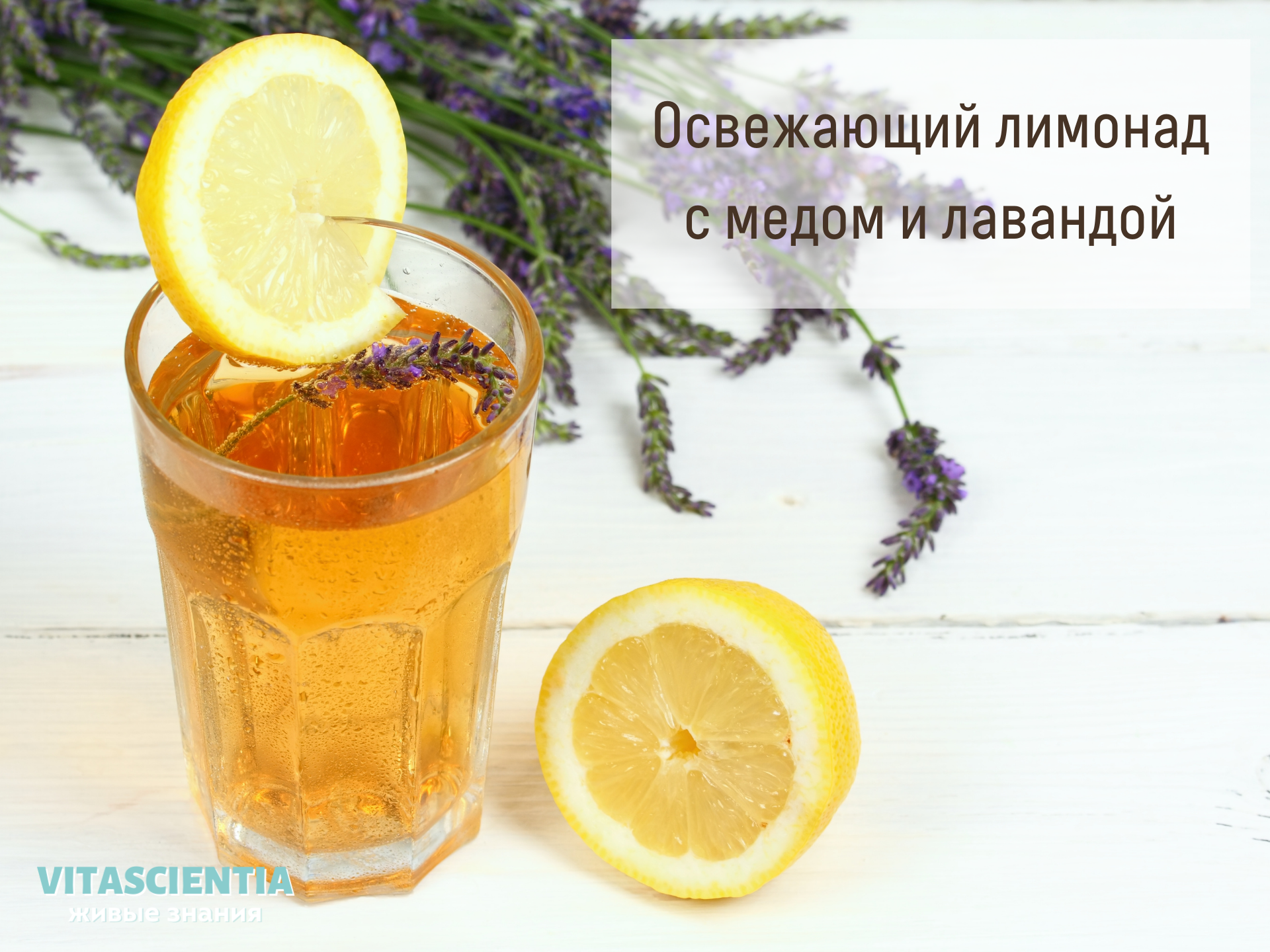 Рецепт освежающего лимонада с медом и лавандой